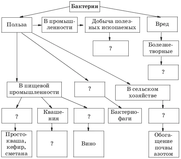 16 Используя предложенные термины заполните схему I Серобактерии II - фото 1