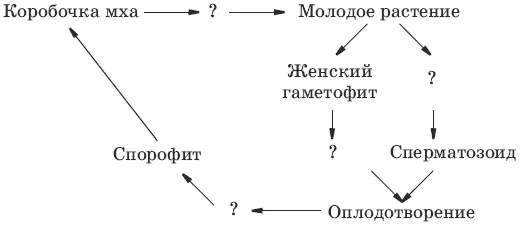 5 Вставьте необходимые по смыслу слова A Зеленые мхи размножаются спорами а - фото 5