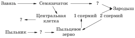 Выберите правильный ответ 3 Проводящая система покрытосеменных - фото 8