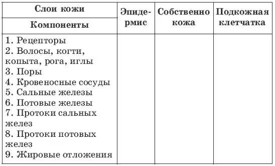 Отметьте знаком к какому слою кожи относятся соответствующие компоненты - фото 14