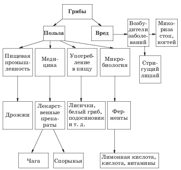 18 I В II Б III Г IV А V Д 19 1 3 4 5 6 7 9 10 11 12 - фото 37