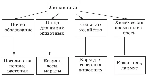 7 А 8 В 9 Г 10 А 11 Г 12 1 3 5 6 8 9 10 11 13 Царство - фото 39