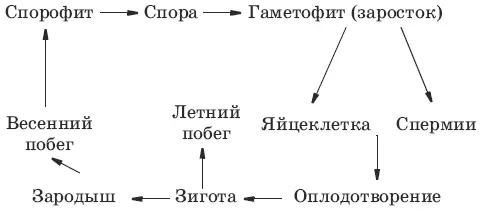 4 А Б 5 А 6 А 7 В Г 8 Г 9 А 10 Г 11 А 12 Г 13 1 234 - фото 41