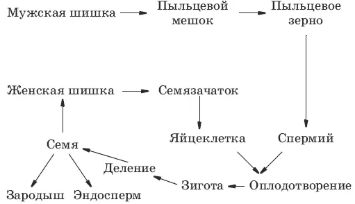 4 Б Г 5 В 6 В 7 Б В Г 81 23 56 7 12 14 Отдел - фото 42