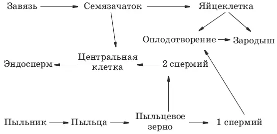 3 Б В Г 4 А Б В Г 5 А 6 А 7 А 8 А Б 9 Б В Г 10 А В Г - фото 43