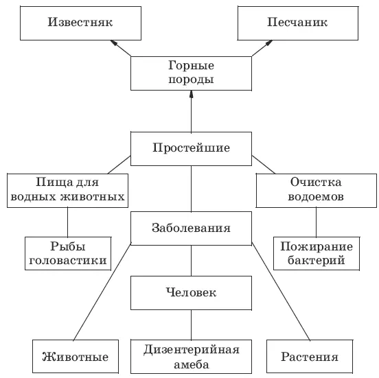 3 Г Д 4 А Одноклеточное Б Удаление избытка воды и вредных веществ В - фото 44