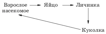 4 А Г 5 А Б В Г 6 Б 7 А 8 В 9 А 10 Б 11 Г 12 А Б 13 Б - фото 48