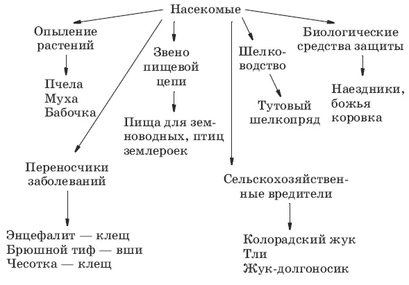 Тип Иглокожие 1 А Звездообразная шаровидная червеобразная Б Древние - фото 49