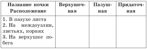 30 Закончите предложение Побег развивается из 31 Дайте определение Почка - фото 2
