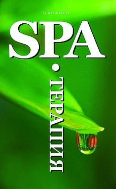 Оксана Белова SPA-Терапия обложка книги