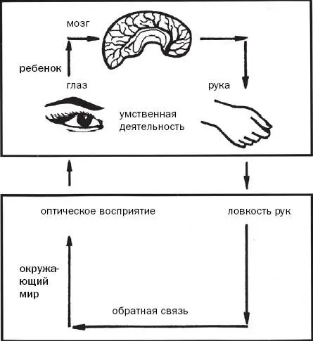 Развитие зрительного восприятия Все зрительные достижения основаны на - фото 7