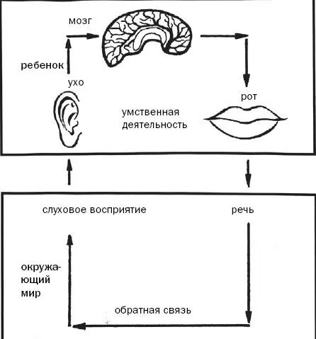 Зрительное восприятие тесно связано со слуховым Так это мамин голос или - фото 8