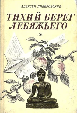 Алексей Ливеровский Тихий берег Лебяжьего, или Приключения загольного бека [Повесть] обложка книги