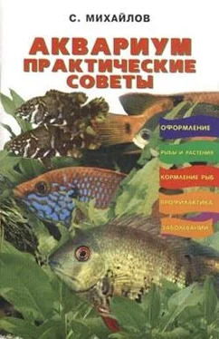 Валентин Михайлов Аквариум. Практические советы обложка книги