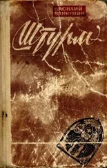 Василий Ванюшин - Штурм