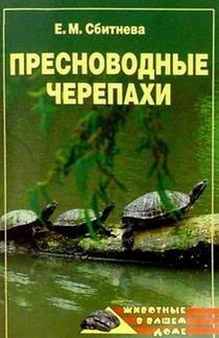 Евгения Сбитнева Пресноводные черепахи обложка книги