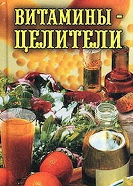 Илья Рощин Витамины-целители обложка книги