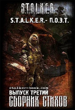 Александр Тихонов S.T.A.L.K.E.R. - П.О.Э.Т. №3 обложка книги