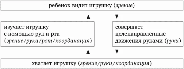 Эти маленькие скоординированные процессы приводят позже к моторному - фото 1