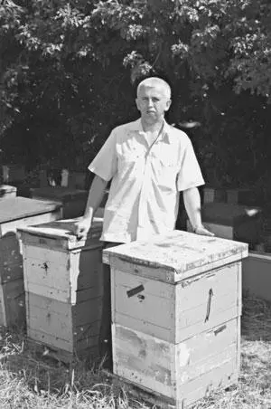 Князь Кладоискателей Юрий Харчук возле двухкорпусных 12рамных ульев Князь - фото 86