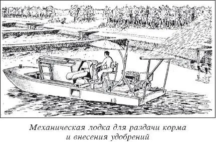 Рассыпные комбикорма раздают по кормовым точкам в тестообразном виде Хорошо - фото 26