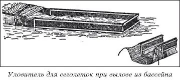 Температура воды зависит от расстояния пробега воды до впадения в пруд размера - фото 51