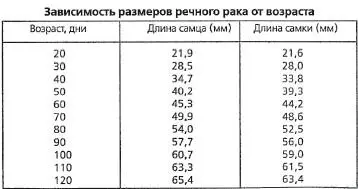 Раздел III РАЗВЕДЕНИЕ ДОМАШНЕЙ ПТИЦЫ БИ - фото 58