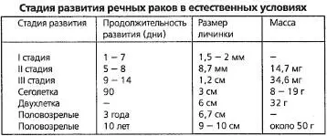 Разведение рыбы раков и домашней птицы - фото 59