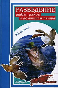 Юрий Харчук Разведение рыбы, раков и домашней птицы обложка книги
