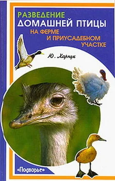 Юрий Харчук Разведение домашней птицы на ферме и приусадебном участке обложка книги