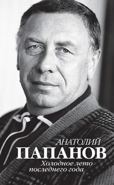 Юрий Крылов Анатолий Папанов. Холодное лето последнего года обложка книги
