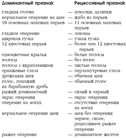 Практика разведения На практике разведение голубей кажется любому заводчику - фото 6