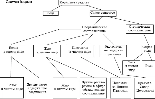 Основные правила кормления голубей При ежедневном кор - фото 8
