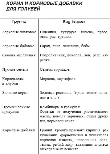 Основные правила кормления голубей При ежедневном кормлении заводчик имеет - фото 9