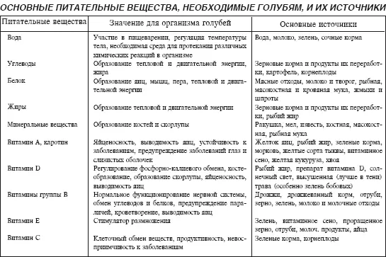 Основные правила кормления голубей При ежедневном кормлении заводчик имеет - фото 10