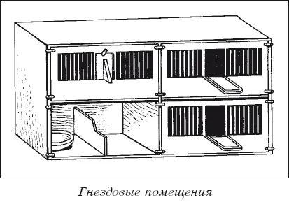 Мясные голуби и домашнее голубеводство - фото 17