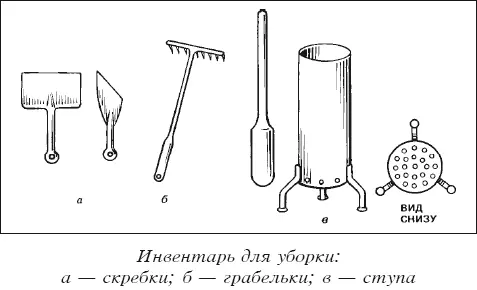 Мясные голуби и домашнее голубеводство - фото 18