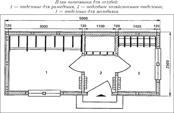 Мясные голуби и домашнее голубеводство - фото 22