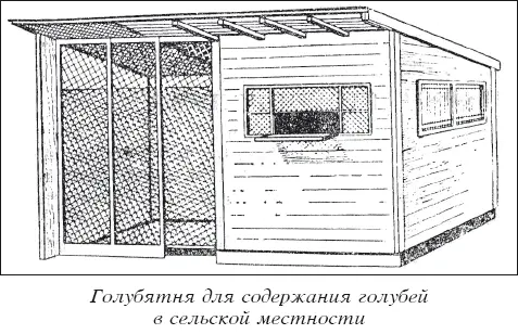Мясные голуби и домашнее голубеводство - фото 27