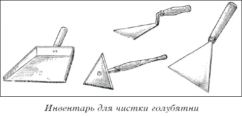 Мясные голуби и домашнее голубеводство - фото 29
