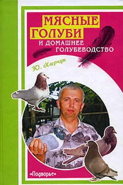 Юрий Харчук Мясные голуби и домашнее голубеводство обложка книги