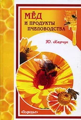 Юрий Харчук - Мед и продукты пчеловодства