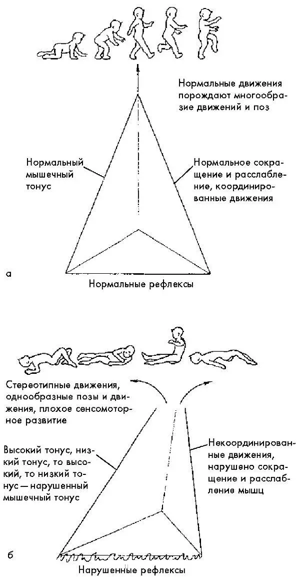 Рис 51 а физическое развитие на фоне нормальных мышечного тонуса - фото 1
