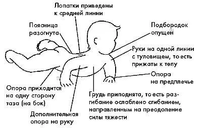 Рис 522 Крупная моторика Мышцы суставы и кожа получают новые ощущения от - фото 25