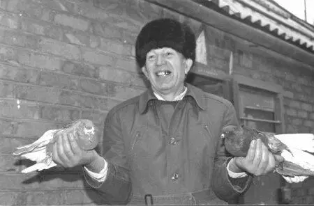Голубевод с 50летним стажем Гойкалов В Н со своими питомцами ст - фото 30