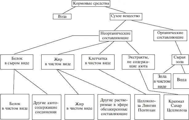 Свежая питьевая вода в чистой емкости всегда должна находиться в распоряжении - фото 5
