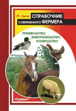 Юрий Харчук Справочник современного фермера. Птицеводство, животноводство, коневодство обложка книги