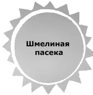 ШМЕЛИНАЯ ПАСЕКА Чемоданы еще не открытые стояли в передней Бабушка - фото 16