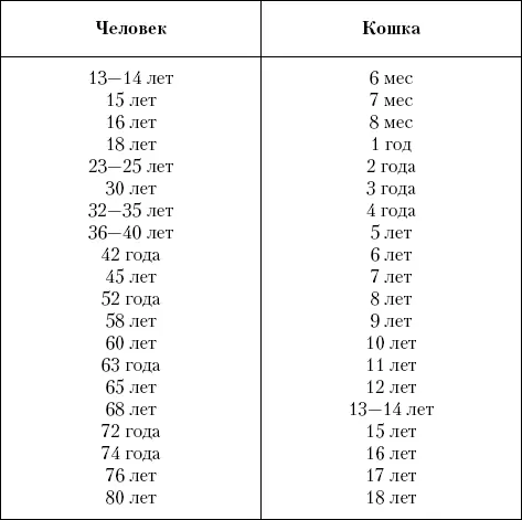 УШИ ЛАПЫ ХВОСТ СТАНДАРТЫ ПОРОДЫ В мире насчитывается около 60 пород - фото 3