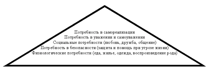 Эту классификацию можно дополнить выделением потребностей рациональных и - фото 12